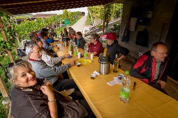 Rebhaus im Rebberg