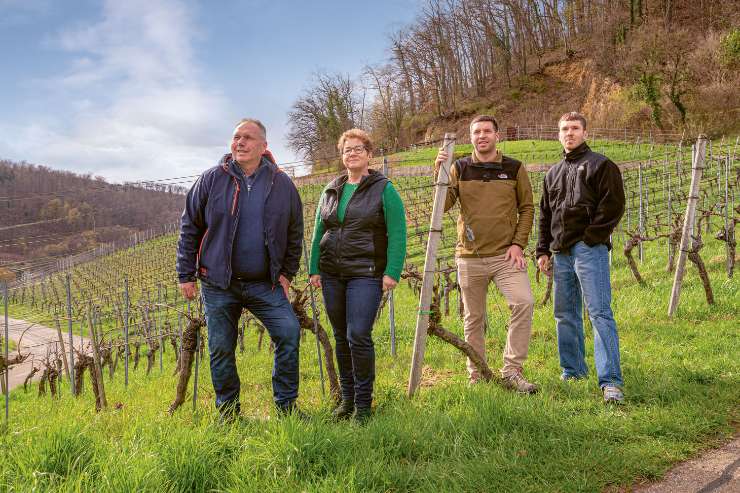 Passion für den Weinbau