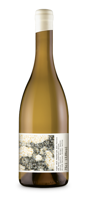 Pinot Gris Macération
